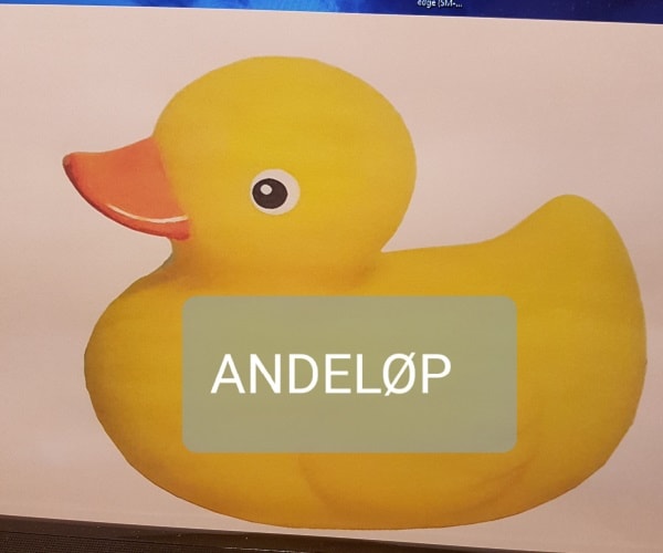 ANDELØP
